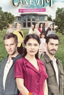 Постер турецкого сериала «Сокровенное»